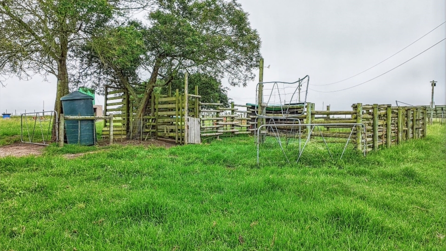 Commercial Property for Sale in Rondevlei Western Cape